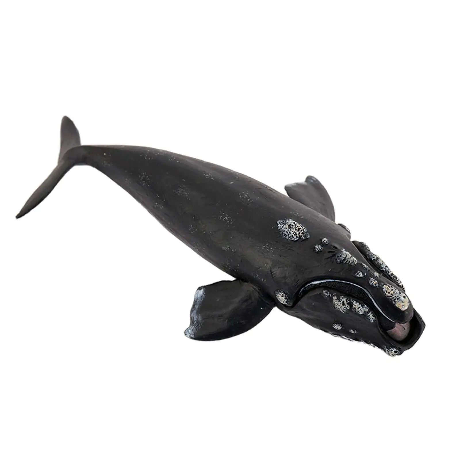 Whale Action Figure Aquarium Simulation Role Play Sea Life Realistic Sea Model for Toddlers Children Kids Boys Girls Gift