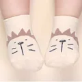 lion(0-1T)