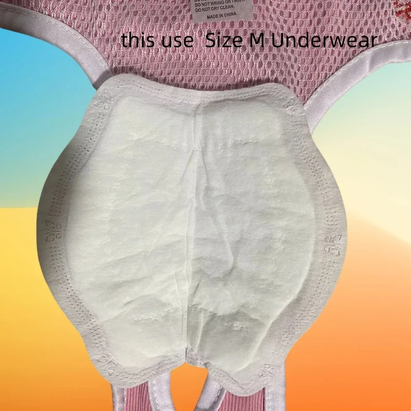 Pañales para perros femeninos, pantalones de temporada de calor para el período Menstrual, almohadilla para perros, bombachos para mascotas, 10/20/30/60/100 Uds. - imagen 3