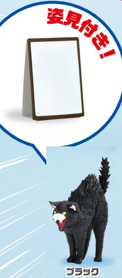 black cat mirror