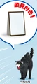 black cat mirror