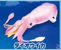 cuttlefish