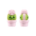 5Pcs Cacti