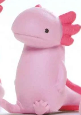 sitting axolotl