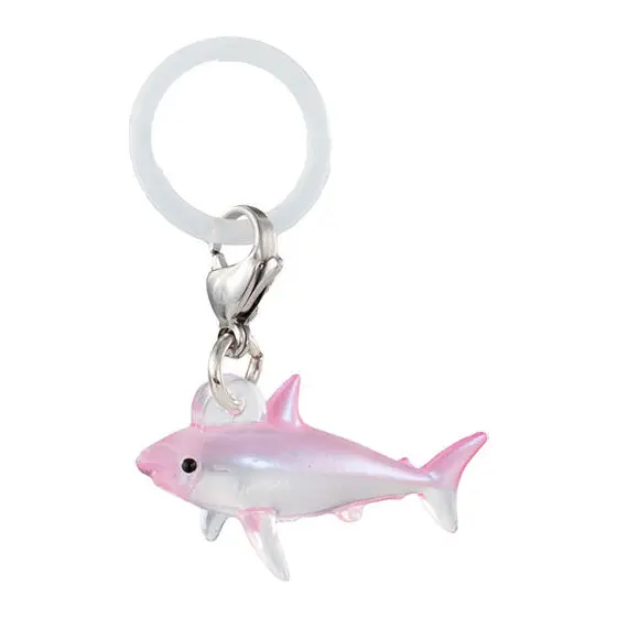Shark B