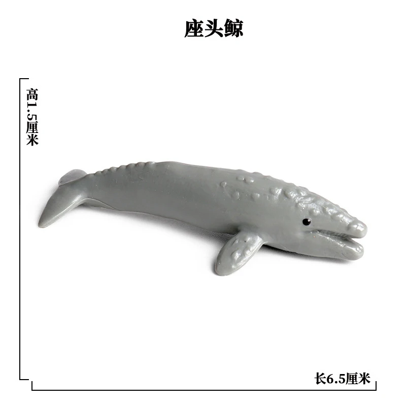 SEA LIFE - 9