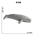 SEA LIFE - 9
