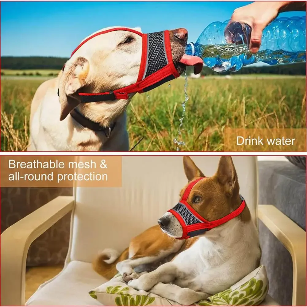 Bozal transpirable biodegradable anti mordeduras para perro