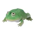 Green Budget Frog