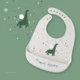 Jurassic period