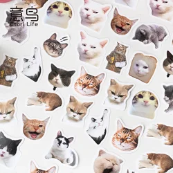 Pegatinas gato Kawaii pequeñas – Decoración álbum escolar