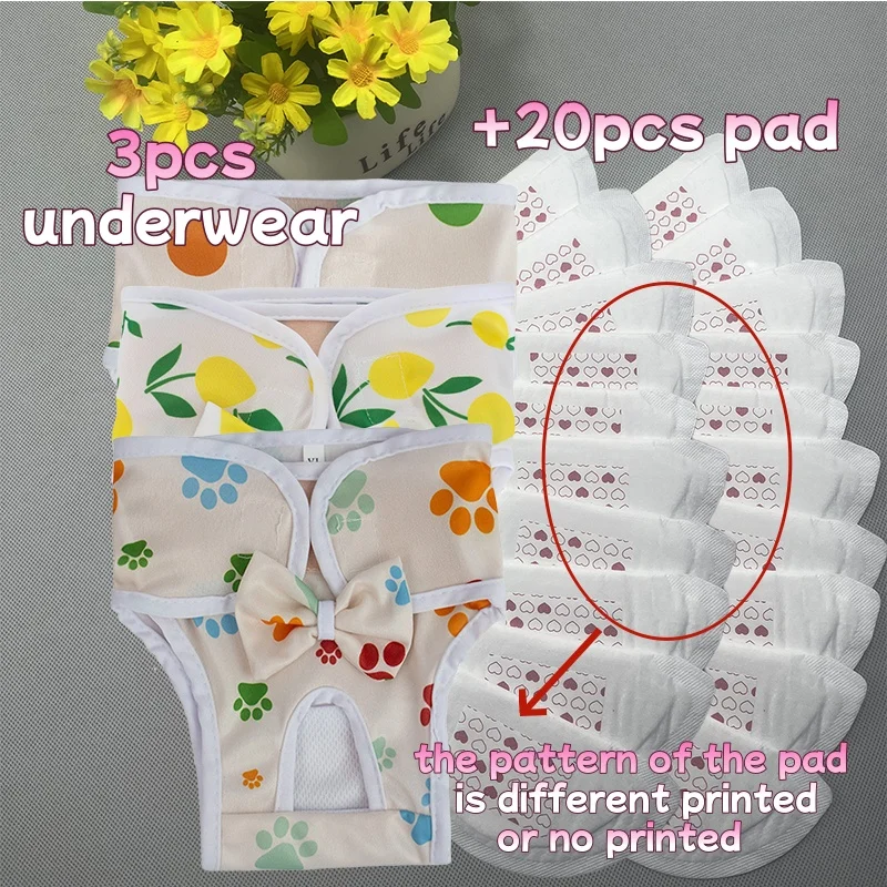 Pañales para perros, pantalones + 20 piezas, almohadilla fisiológica para mascotas, ropa interior para el período Menstrual, bañadores femeninos lavables, 3 uds.