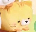 Tabby cat