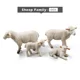 Sheep Family