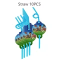 10pcs Straws
