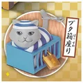 cat sit in jail cell