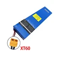 XT60