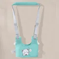 Green bear