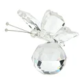 white butterfly