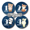 32pcs