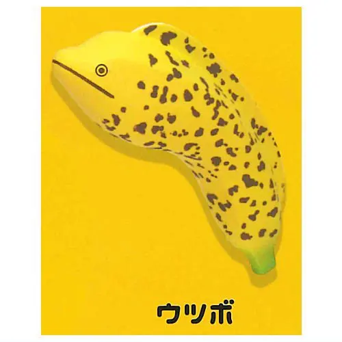 Moray eel
