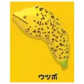Moray eel