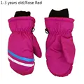 1-3Y-Rose