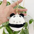Pachacco