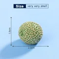 10Pcs Cantaloupe