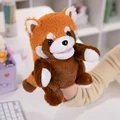 Brown raccoon