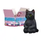 black cat