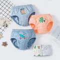 5pcs Dinosaur 4