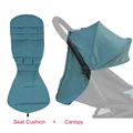 Cushion and Canopy