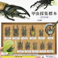 all 12 types 