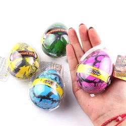 Huevos de dinosaurio para incubar en agua – Juguete educativo