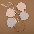 shell shape-A