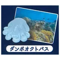 Dumbo Octopus