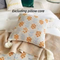 cushion cover