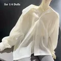 1-4 Doll Transparent