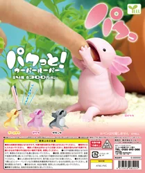 ¡Gell World Pakutto! Wooper looper cápsula juguetes kawaii adorable axolotl con sus figuras abiertas de boca puede contener un bolígrafo