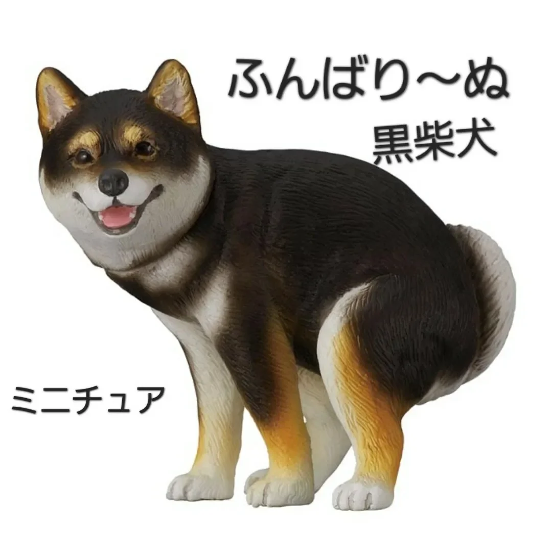 Black Shiba Inu