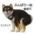 Black Shiba Inu