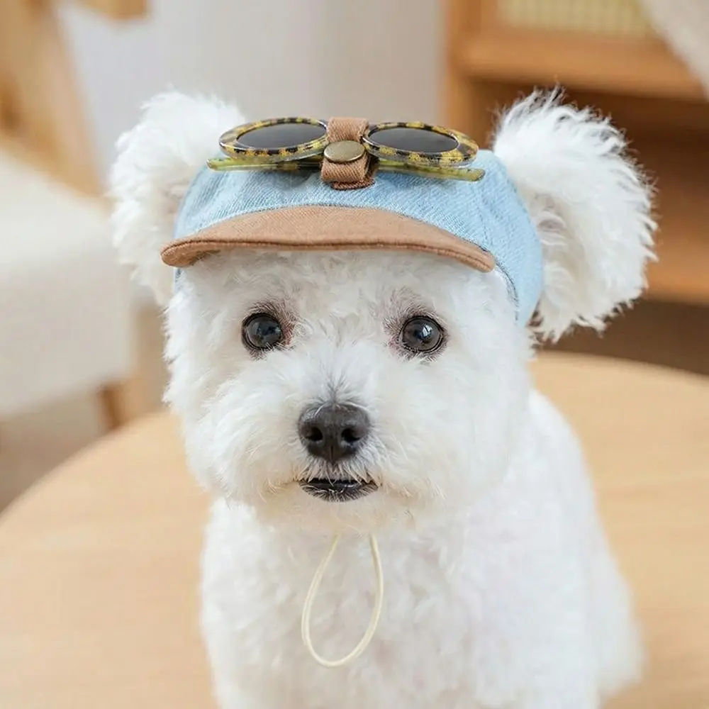 Gorra para perro vaquera con visera ajustable y gafas de sol