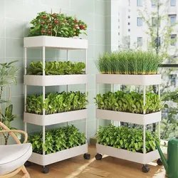 Kit huerto vertical para cultivar verduras en el balcón