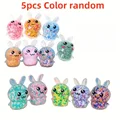 5Pcs