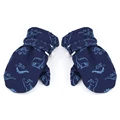 dark blue-S-(6M-2T)