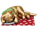 Sleep gold