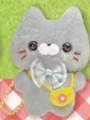 gray kitten