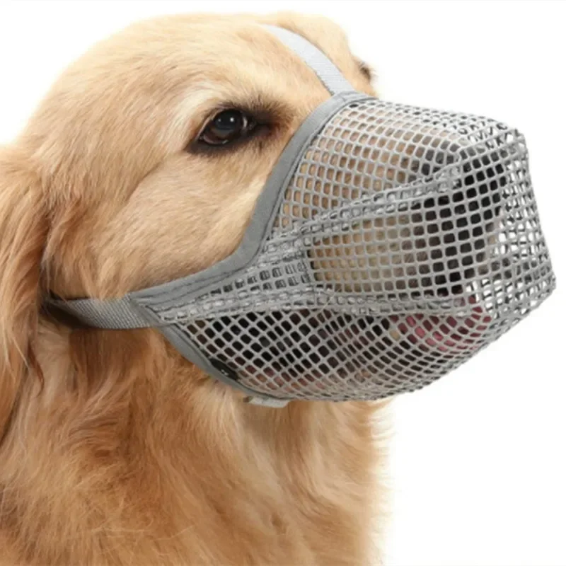 grey muzzle