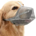 grey muzzle